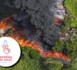 La fundación se presenta como una entidad sin ánimo de lucro dedicada a la protección ambiental y al desarrollo social sostenible, con un modelo basado en la economía circular. FOTOS Cortesía y redes sociales de la fundación Botellas de Amor.