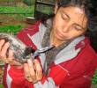 Patricia Brennan es una bióloga colombiana e investigadora en el Mount Holyoke College. Sus trabajos han puesto el foco en la sexualidad de los animales FOTO cortesía patricia Brennan