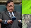 El presidente Gustavo Petro publicó un trino en el que advirtió no tener entre sus planes suspender bombardeos, tal como lo pidió la Defensoría del Pueblo. FOTOS: Colprensa y Cortesía Ministerio de Defensa