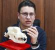 Julio Aguirre conserva el cráneo de Zeus, perro asesinado en Medellín, como parte de los resultados de su práctica. Foto: Manuel Saldarriaga