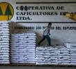 La crisis de la Cooperativa de Caficultores de Andes ya completaba seis años. Foto: Julio César Herrera
