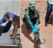 El perrito, de nombre Jack, fue puesto bajo custodia y valorado por personal veterinario. FOTO: Cortesía Policía