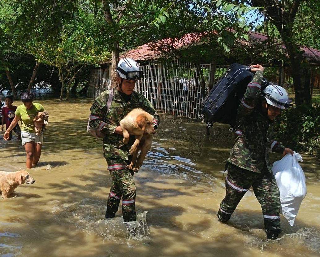 A la fecha, según el Ejército, cerca de 300 mascotas han sido puestos a salvo gracias al rescate de soldados. FOTO: @COL_EJERCITO.
