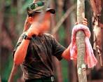 La mayor parte de los casos se dieron en Cauca, Chocó y Antioquia. FOTO COLPRENSA