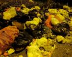 Ciudadanos aseguran que las basuras en el sector Mano de Dios, en Altavista, no se recogen hace dos semanas. FOTO Cortesía