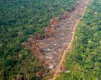 El Gobierno identificó 11 puntos en el Parque Nacional Natural Chiribiquete donde hay acciones de deforestación por parte de grupos ilegales. FOTO CORTESÍA MINDEFENSA