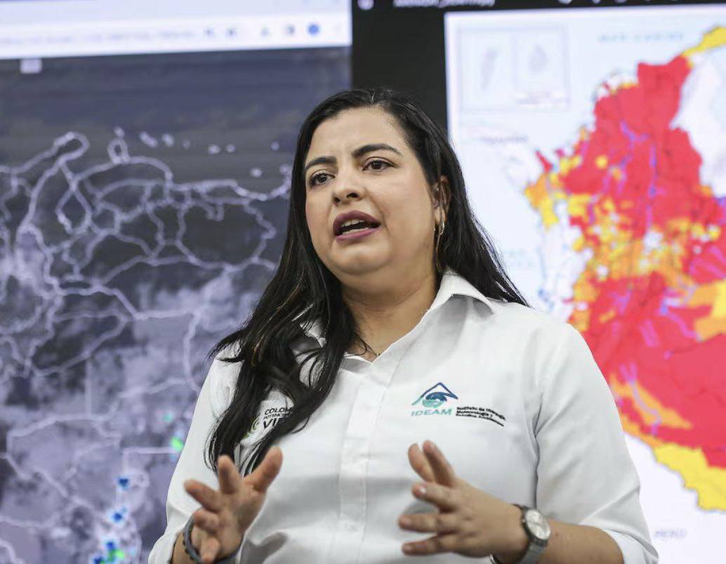 Directora del Ideam, Ghisliane Echeverry Prieto. FOTO: Ideam.