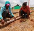 Urabá y Bajo Cauca son las regiones con mayor número de mujeres beneficiadas. FOTO: CAMILO SUÁREZ