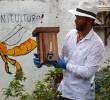Juan Pablo Villa es el fundador de El Zángano, un meliponario en Venecia, Antioquia. FOTO manuel saldarriaga