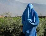 La autoridades afganas le recomiendan a las periodistas de televisión llevar el velo islámico o Burka durante las transmisiones Foto: Steve Evans 