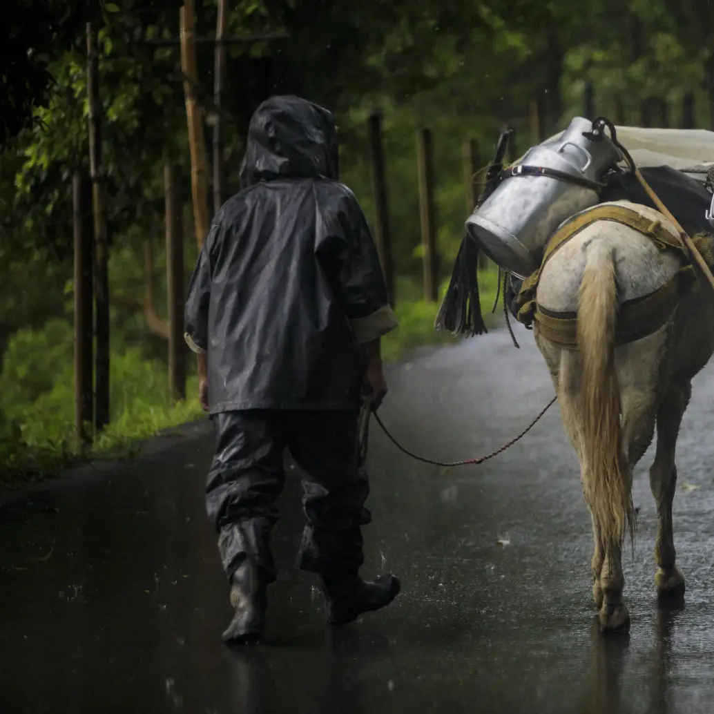 40 eventos de desplazamiento y 26 de confinamiento han ocurrido en el primer trimestre de 2026. Foto: Andrés Camilo Suárez Echeverry.