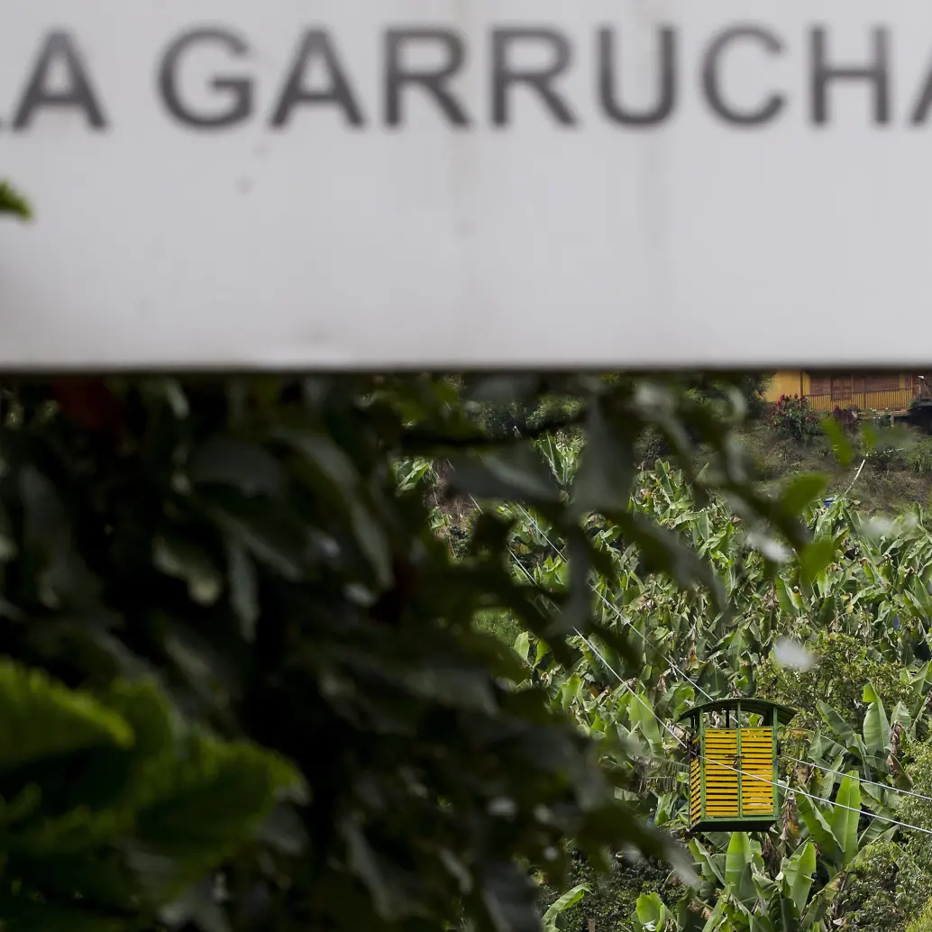 Imagen de referencia de una garrucha en el departamento de Antioquia. Foto: Julio César Herrera E.