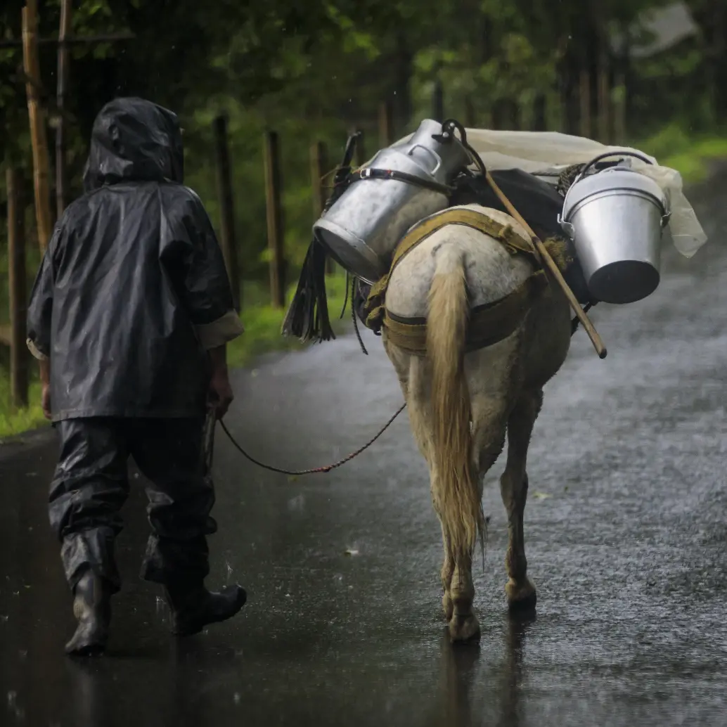40 eventos de desplazamiento y 26 de confinamiento han ocurrido en el primer trimestre de 2026. Foto: Andrés Camilo Suárez Echeverry.
