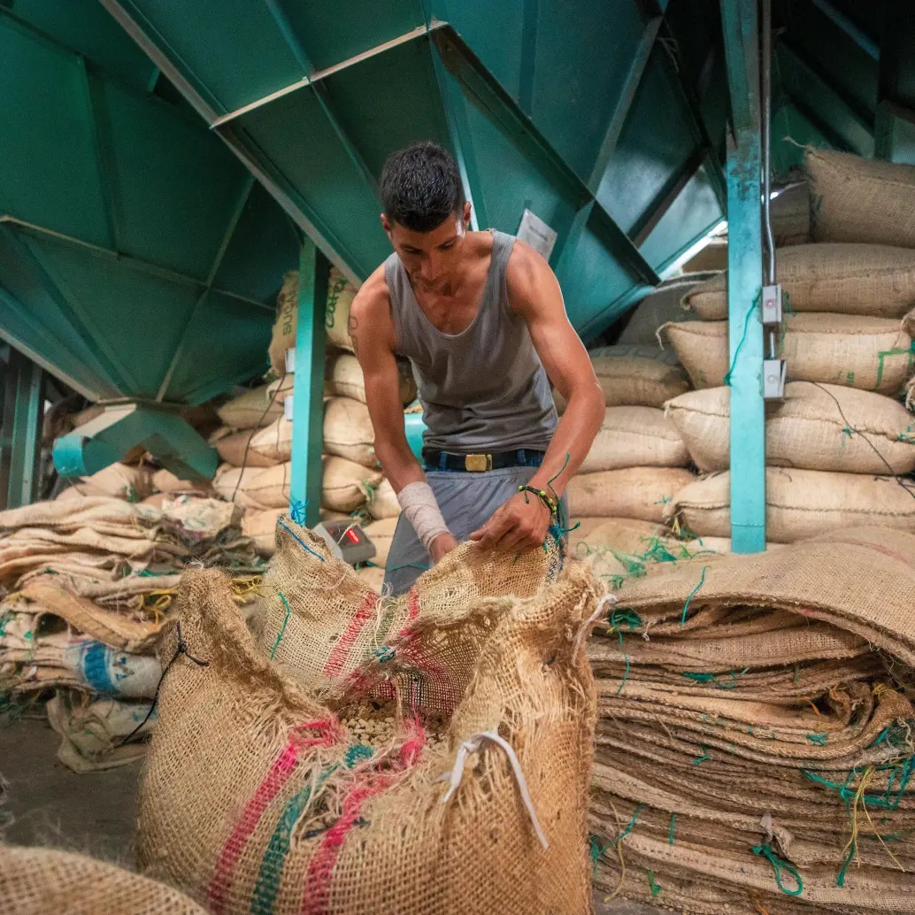 El PIB de Colombia crecería 2,4% este año. FOTO: Camilo Suárez