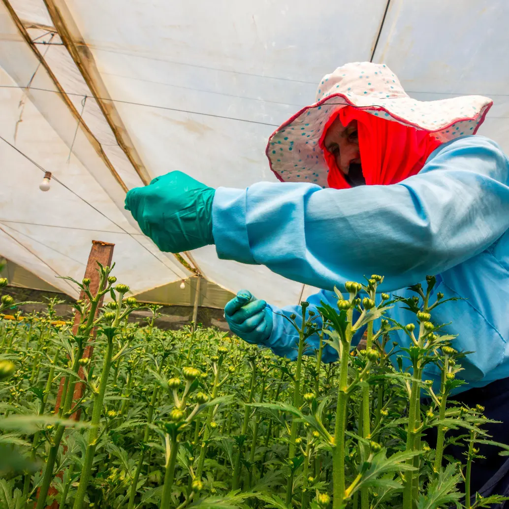 El sector agro deberá pagar sobretasa de 20% en energía. FOTO CAMILO SUÁREZ