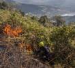 Las autoridades advierten sobre mayor riesgo de incendios forestales, reducción de caudales, afectaciones a la salud pública y presión sobre el suministro de agua y energía. Foto: cortesía Alcaldía de Medellín.