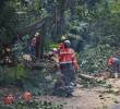 Tras las inundaciones por la quebrada La Presidenta, también se realizaron talas de árboles. Algunos estaban en riesgo de desplome. Foto: Manuel Saldarriaga Quintero.