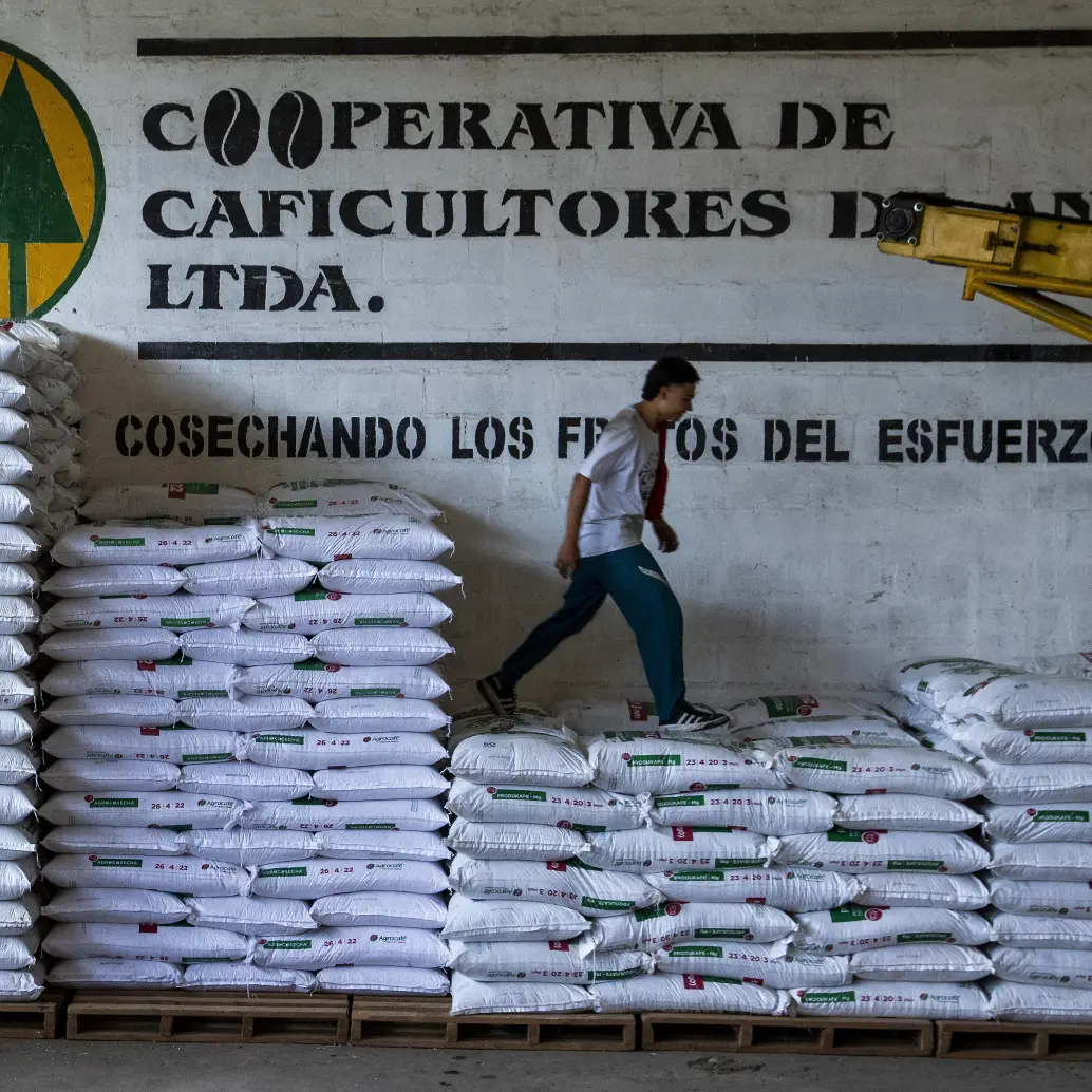 La crisis de la Cooperativa de Caficultores de Andes ya completaba seis años. Foto: Julio César Herrera