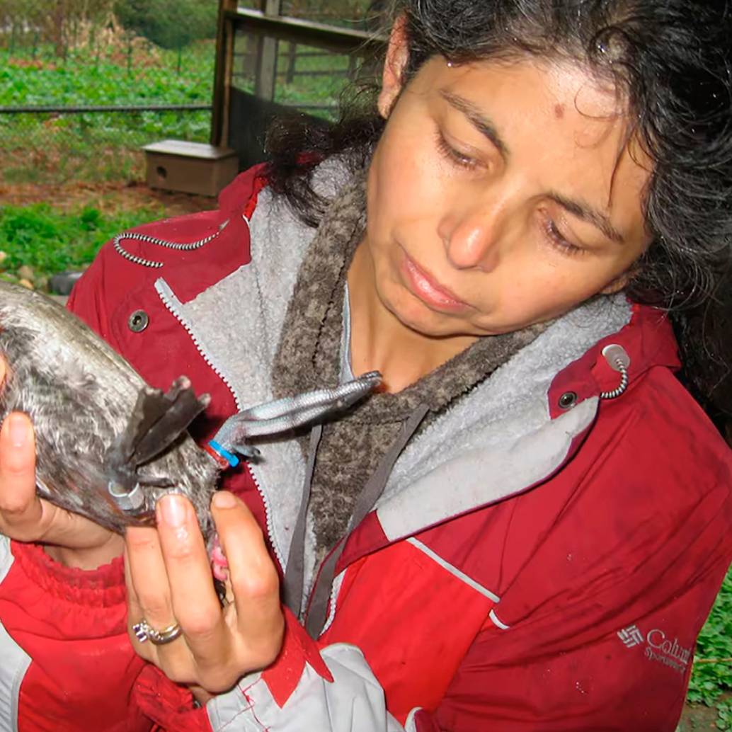 Patricia Brennan es una bióloga colombiana e investigadora en el Mount Holyoke College. Sus trabajos han puesto el foco en la sexualidad de los animales FOTO cortesía patricia Brennan