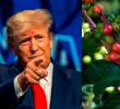La Casa Blanca, en cabeza de Donald Trump, informó que se retiraron los aranceles al café y otros productos. FOTO GETTY