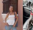 Durante la emergencia invernal en Córdoba, decenas de voluntarios, veterinarios, fundaciones e influencers participaron en jornadas de rescate y traslado de animales afectados por las inundaciones. FOTO: redes sociales, Camila Reyes Londoño y Patrulla Criolla.