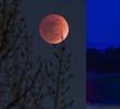Durante el eclipse de este jueves, 27 de agosto, la Luna experimentará un color rojo o cobrizo. Foto: Xinhua