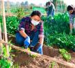 El sector agrícola diseñó la campaña #EchemosPalante para promover el empleo en estas actividades productivas. FOTO SSTOCK