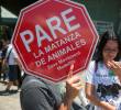 Los colectivos animalistas de El Santuario buscan que se frenen los recientes hechos de violencia contra los animales. FOTO: ARCHIVO