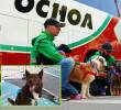 Si bien desde 2024 ya 3.853 animales han sido “transferidos” al mejor equipo posible –una familia que los recibió en su hogar–, todavía quedan muchos esperando la oportunidad de ser adoptados. FOT: Cortesía