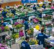 Colombia cerró 2025 con 93 empresas exportadoras menos, ¿qué pasó?