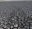 El calor no va a parar: la temperatura del planeta seguiría rompiendo récords hasta 2030