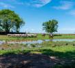 El estudio, destacado por el Frontiers Planet Prize, demuestra que la diversificación agrícola beneficia a la biodiversidad y a las comunidades rurales. FOTO cortesía TNC