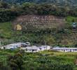 En el ETCR de Dabeiba, Antioquia, excombatientes de las Farc crearon un destino turístico de naturaleza y agricultura. <span class=mln_uppercase_mln>FOTO</span> <b><span class=mln_uppercase_mln>julio césar herrera</span></b>