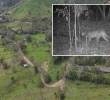Adelante, el puma que fue captado merodeando cerca de la reserva. Atrás, el centro de la U. de A. FOTO: Cortesía.