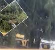 Los árboles cayeron sobre por lo menos dos automotores. FOTO: imagen tomada de redes.