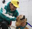 Uno de los perros que estuvo presente en el hogar geriátrico San Cristóbal. FOTO: Cortesía