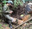 Adelante, la danta o tapir encontrada muerta en Remedios. Atrás, imagen de referencia de un soldado en labores de desminado de artefactos explosivos improvisados. FOTO: Tomada de redes sociales