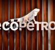 Ecopetrol destinó $5.000 millones para apoyar la atención de las familias afectadas por el terremoto del 10 de agosto. FOTO COLPRENSA