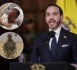 El presidente Abelardo de la Espriella respondió al llamado de exmilitar en Nueva York, que necesita un doble trasplante de pulmón, y prometió llevarlo a Colombia. FOTOS: Colprensa- cortesía