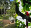 Además de su labor médica, el Hospital San Vicente Fundación conserva cerca de 560 árboles y alrededor de 100 especies vegetales que sirven de hábitat para la fauna silvestre urbana. FOTO: Camilo Suárez, Hospital San Vicente Fundación.