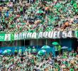 Atlético Nacional espera recuperar protagonismo en el segundo semestre de 2025. Sus hinchas son de los más leales en el fútbol profesional colombiano. Foto: Andrés Camilo Suárez Echeverry