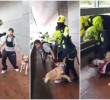 La institución aclaró que el procedimiento en inmediaciones del centro comercial Parque La Colina se debió a reportes constantes por exceso de ruido y ocupación del espacio público. FOTO: Captura de video de redes sociales @ULTIMAHORAENX