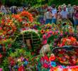 Falta solo una semana para que comience la Feria de las Flores. FOTO Camilo Suárez