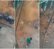 El momento en el que el muro cedió segundos después de que el niño cruzara la puerta del restaurante donde se encontraba. FOTOS: Capturas de video