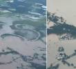Decenas de hectáreas han sido afectadas por las inundaciones y el desbordamiento de ríos. Foto: Redes sociales