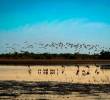 Imágenes de la reserva familiar La Palmita, en el Casanare, que es administrada por Catalina Mora. En esa región existe un entramado de humedales, ríos y sabanas con una función silenciosa. FOTO <b><span class=mln_uppercase_mln>Cortesía Bruno Ferreiro/WWF</span></b>