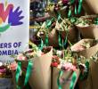 Las flores colombianas perderían US$250 millones por el arancel de Donald Trump. FOTOS: COLPRENSA