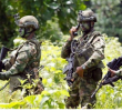 Duro golpe a disidencias de ‘Iván Mordisco’ en Tolima: <b>10 capturados y dos muertos</b>
