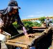 El Banco de Áreas para la Formalización Minera reunirá terrenos destinados exclusivamente a procesos de legalización de pequeños mineros en Colombia. FOTO JULIO HERRERA.