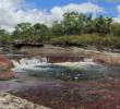 La mejor época para visitar Caño Cristales es entre julio y noviembre, cuando el río alcanza su máximo esplendor y los colores están en su punto más vibrante. FOTO: Colprensa.